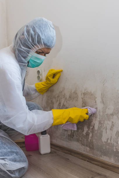 Best Airborne Mold Testing  in Augusta, AR