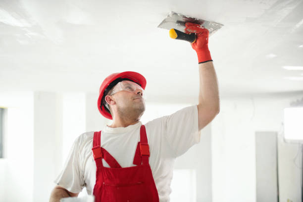 Best Mold Remediation for Vacation Homes  in Augusta, AR