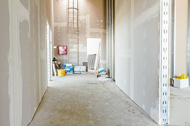 Best Mold Documentation for Insurance Claims  in Augusta, AR