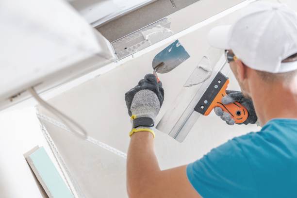 Best Crawl Space Mold Remediation  in Augusta, AR